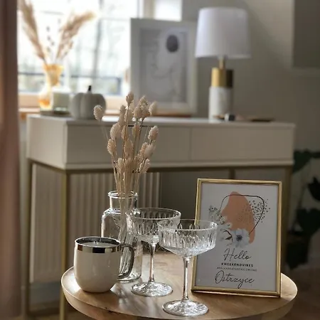 Agroturystyczne U Hani בית חווה *