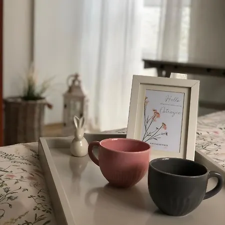 Çiftlik konaklama Agroturystyczne U Hani